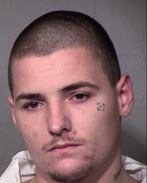 DALTON RAY HICKS Mugshot / Maricopa County Arrests / Maricopa County Arizona