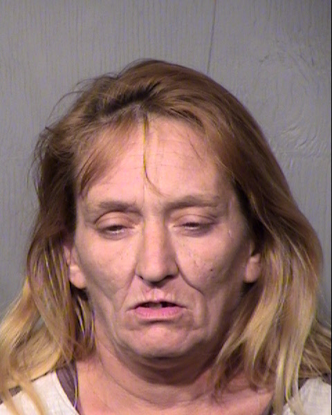 DINA ANN KRAMER Mugshot / Maricopa County Arrests / Maricopa County Arizona