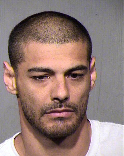 DANIEL S MILANI Mugshot / Maricopa County Arrests / Maricopa County Arizona