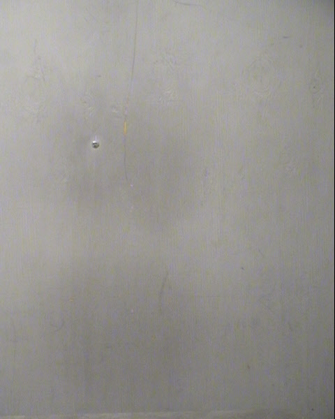 NATOYA NADINE DES VIGNES Mugshot / Maricopa County Arrests / Maricopa County Arizona