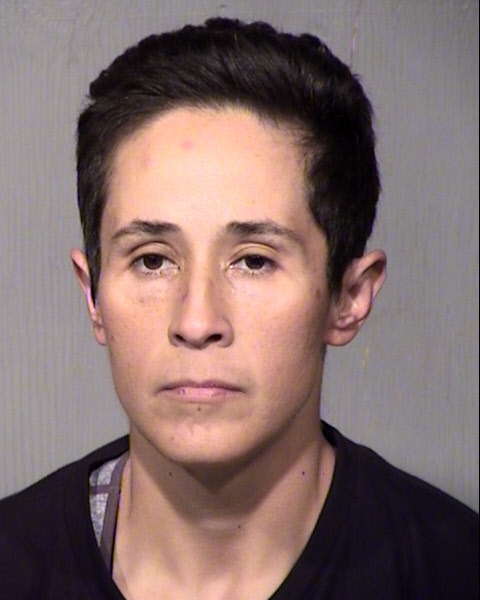 MICHELLE DIANNE FAVELA Mugshot / Maricopa County Arrests / Maricopa County Arizona