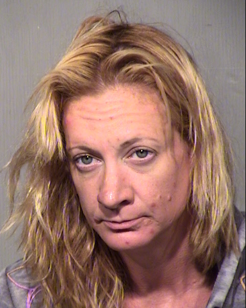 RENEE JOHNSON Mugshot / Maricopa County Arrests / Maricopa County Arizona