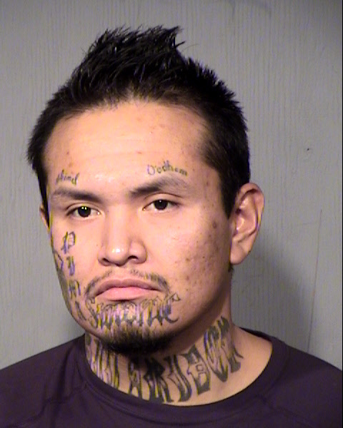 TRAVIS JAMES Mugshot / Maricopa County Arrests / Maricopa County Arizona