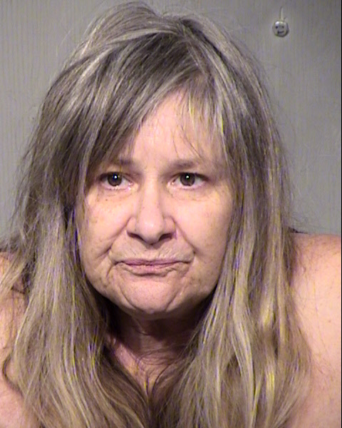 JANA KAYE EVATT Mugshot / Maricopa County Arrests / Maricopa County Arizona