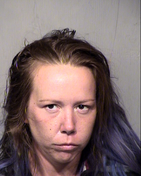 JULIE C LEIDY Mugshot / Maricopa County Arrests / Maricopa County Arizona