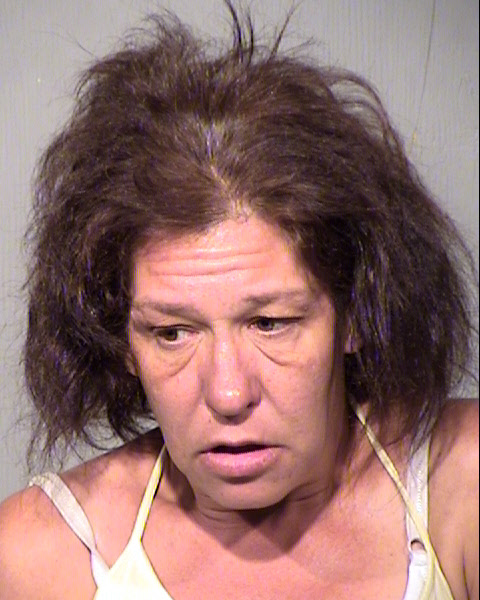 ANNE MARIE GREEN Mugshot / Maricopa County Arrests / Maricopa County Arizona