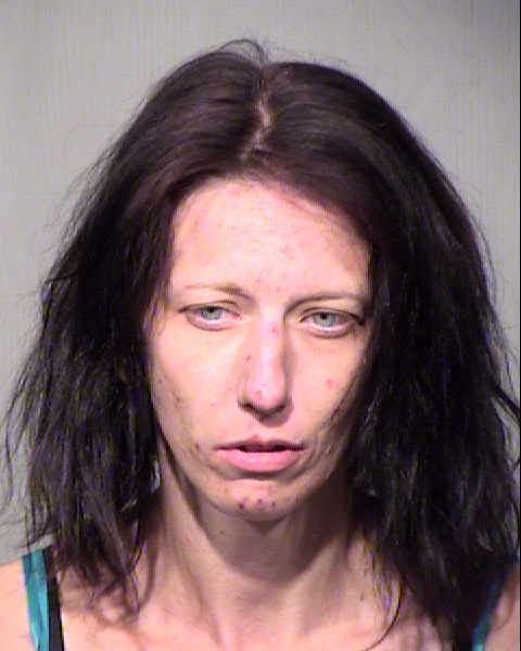 JENNA J ANDERSON Mugshot / Maricopa County Arrests / Maricopa County Arizona