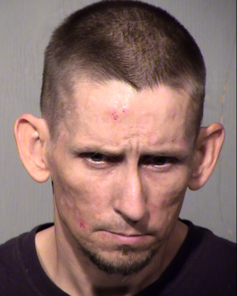 MICHAEL DAVID RING Mugshot / Maricopa County Arrests / Maricopa County Arizona