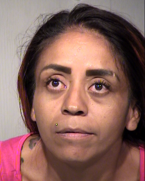 MARISELA NAVARRO HERNANDEZ Mugshot / Maricopa County Arrests / Maricopa County Arizona