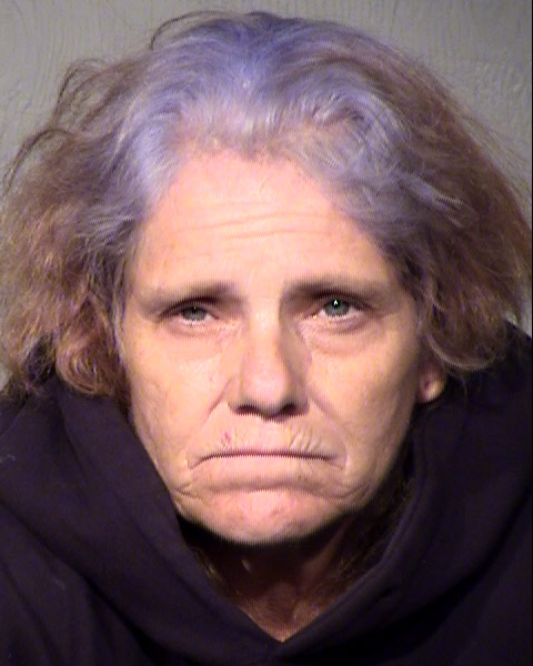 MARINA LYNN DAVIS Mugshot / Maricopa County Arrests / Maricopa County Arizona