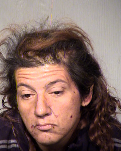 CINDYMARIE VIEIRA RICE Mugshot / Maricopa County Arrests / Maricopa County Arizona