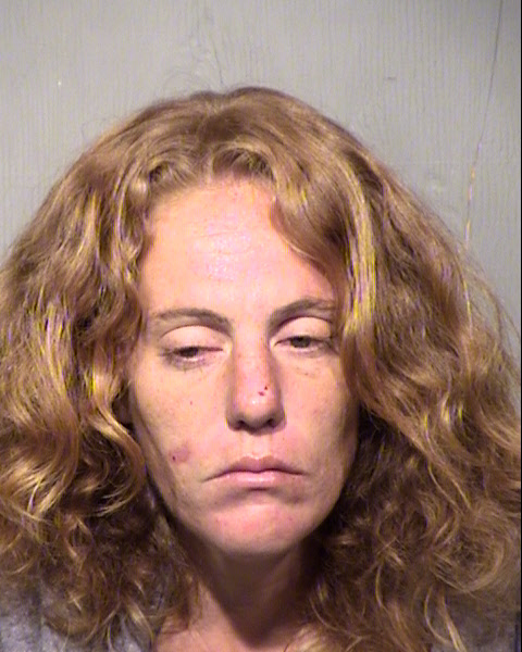 JAMIE LEE LEE FRENCH Mugshot / Maricopa County Arrests / Maricopa County Arizona