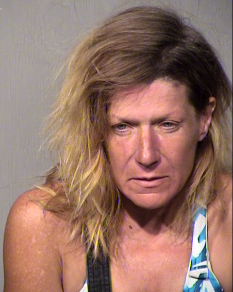 TARA L TURCOTTE Mugshot / Maricopa County Arrests / Maricopa County Arizona