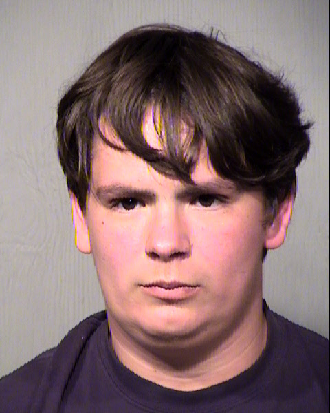 MICHAEL GONZALES Mugshot / Maricopa County Arrests / Maricopa County Arizona