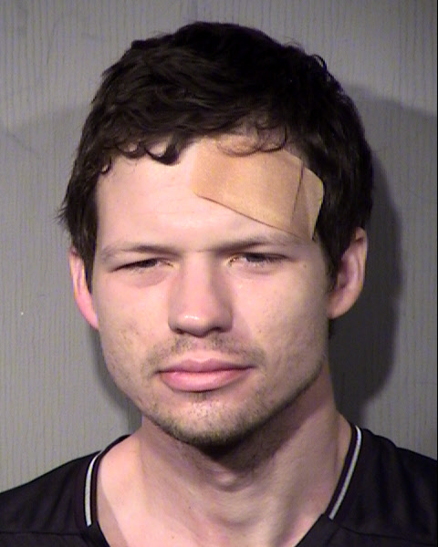 NICHOLAS ALEXANDER ADAMS Mugshot / Maricopa County Arrests / Maricopa County Arizona