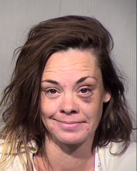 SARAH NAOMI WEITZMAN Mugshot / Maricopa County Arrests / Maricopa County Arizona