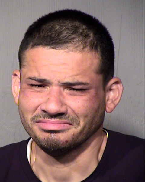 MICHAEL ALEXANDER COTA Mugshot / Maricopa County Arrests / Maricopa County Arizona