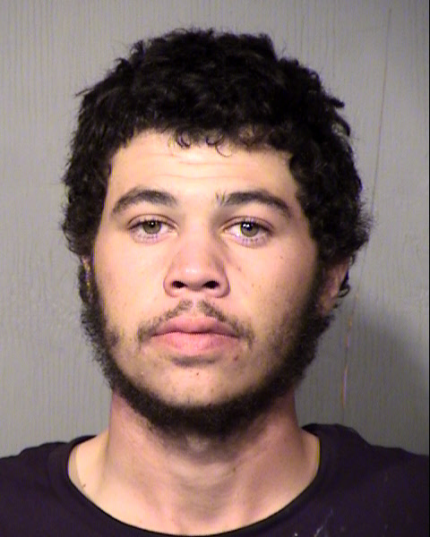 AUSTIN MICHAEL ERICPARKER Mugshot / Maricopa County Arrests / Maricopa County Arizona