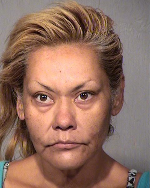 MARIA ANASTASIA HANAGARNE Mugshot / Maricopa County Arrests / Maricopa County Arizona