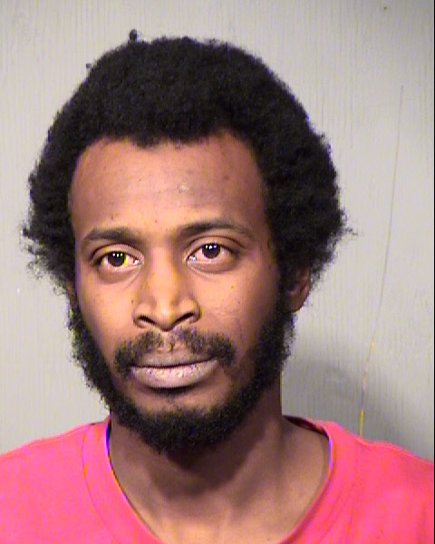 RICKY MOLETT Mugshot / Maricopa County Arrests / Maricopa County Arizona