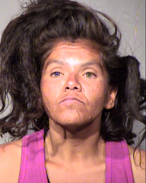 ANNA R MENDOZA PINA Mugshot / Maricopa County Arrests / Maricopa County Arizona