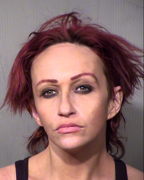 YANCHARA LARSON FITZGERALD Mugshot / Maricopa County Arrests / Maricopa County Arizona