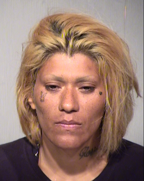 GUADALUPE THEODORA SANCHEZ Mugshot / Maricopa County Arrests / Maricopa County Arizona