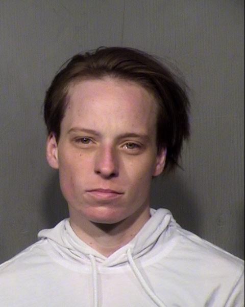 DANIELLE M HANNEY Mugshot / Maricopa County Arrests / Maricopa County Arizona