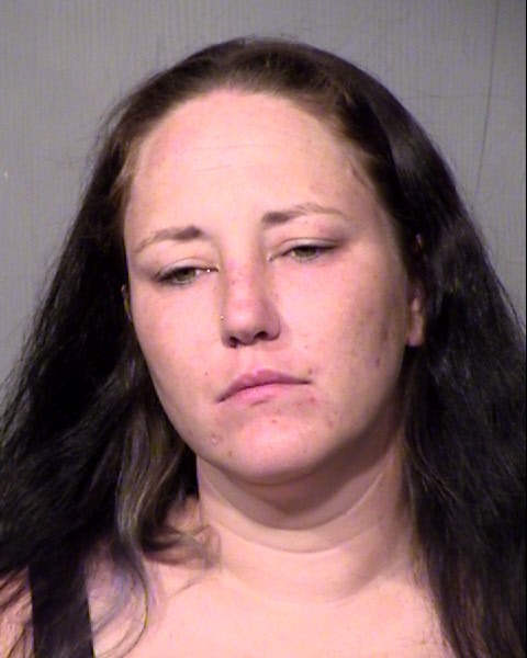 ERICA ANN LEWIS Mugshot / Maricopa County Arrests / Maricopa County Arizona