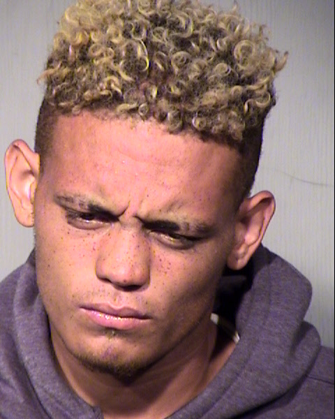 SHANE MICHAEL NEPPLE Mugshot / Maricopa County Arrests / Maricopa County Arizona