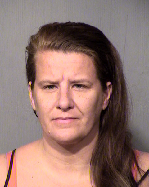 LISA ANN GARNER Mugshot / Maricopa County Arrests / Maricopa County Arizona