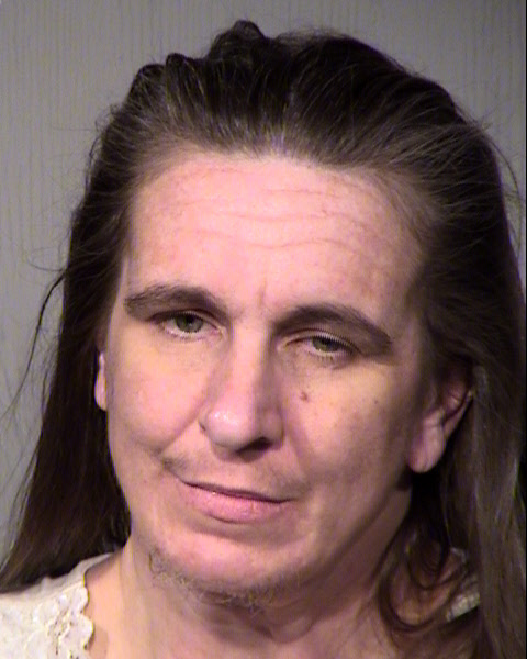 NICOLE R HUNTER Mugshot / Maricopa County Arrests / Maricopa County Arizona