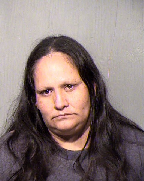 JODI MANN Mugshot / Maricopa County Arrests / Maricopa County Arizona