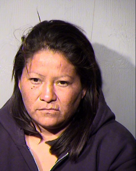 SHIRLENA MEA GEORGE Mugshot / Maricopa County Arrests / Maricopa County Arizona