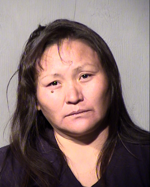 JANICE BAHE Mugshot / Maricopa County Arrests / Maricopa County Arizona