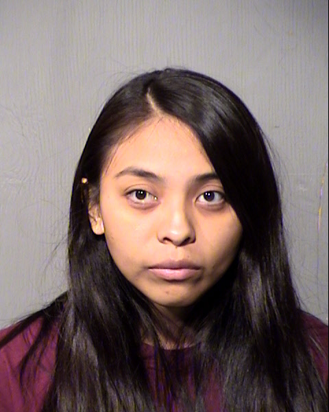 ELIZABETH MARIA ALMANZAR Mugshot / Maricopa County Arrests / Maricopa County Arizona