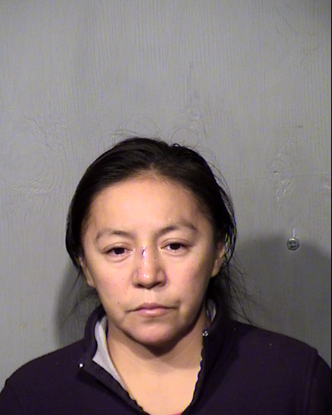 ANA L VAN GUNDY Mugshot / Maricopa County Arrests / Maricopa County Arizona