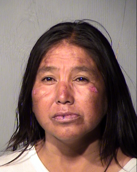 MICHELLE JEAN YAZZIE Mugshot / Maricopa County Arrests / Maricopa County Arizona