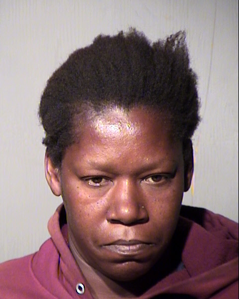 PAMELA SIMS Mugshot / Maricopa County Arrests / Maricopa County Arizona