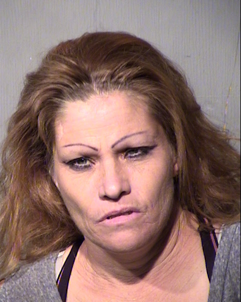 SHAUNA M RAY Mugshot / Maricopa County Arrests / Maricopa County Arizona