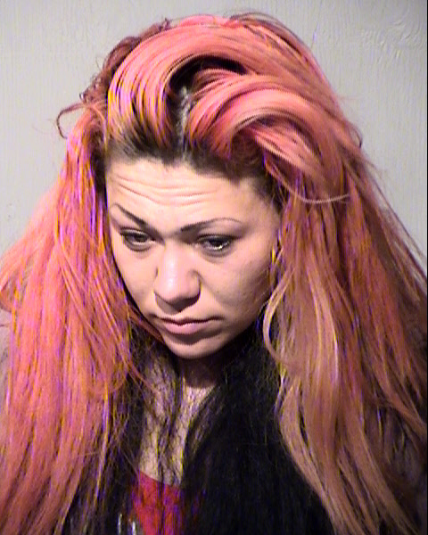 SKYLAR WHITTNEY SCALLY Mugshot / Maricopa County Arrests / Maricopa County Arizona