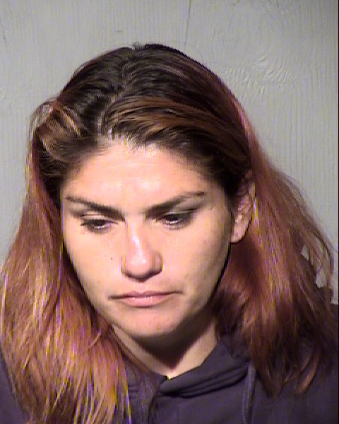 TERESA M SALINAS Mugshot / Maricopa County Arrests / Maricopa County Arizona