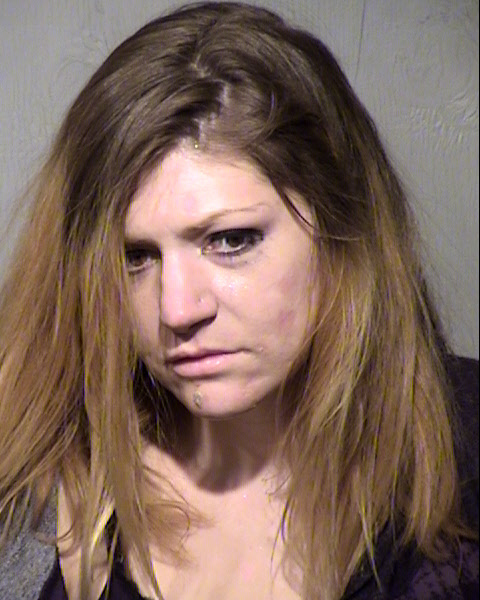 BRITTANY S GARCIA Mugshot / Maricopa County Arrests / Maricopa County Arizona
