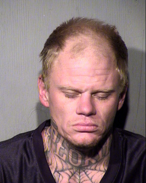 CHRISTOPHER LEIS WINJUM Mugshot / Maricopa County Arrests / Maricopa County Arizona
