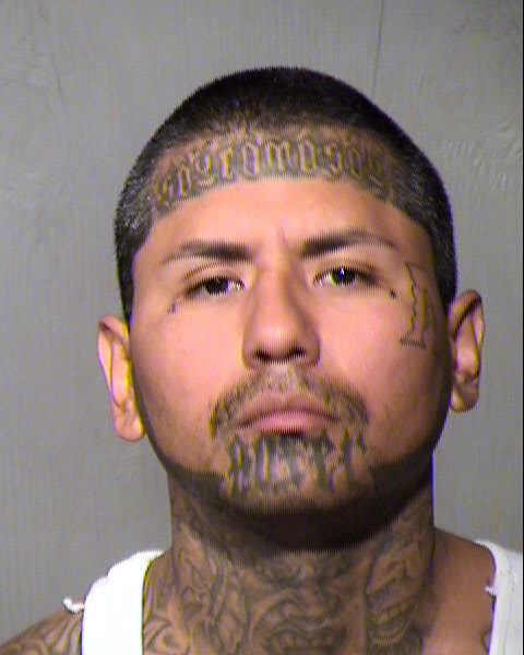 ROMAN ADAM WILSON Mugshot / Maricopa County Arrests / Maricopa County Arizona