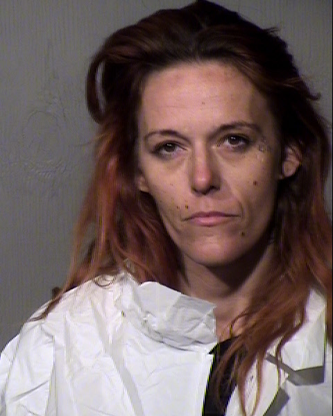 AMANDA LYNN ROMERO Mugshot / Maricopa County Arrests / Maricopa County Arizona