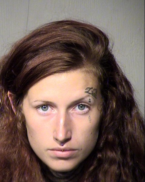 ILEENE MARIE MANN Mugshot / Maricopa County Arrests / Maricopa County Arizona