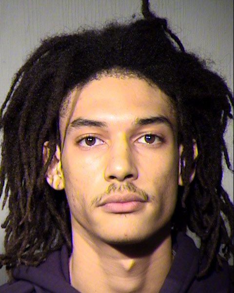 TYLER J REINFELT Mugshot / Maricopa County Arrests / Maricopa County Arizona