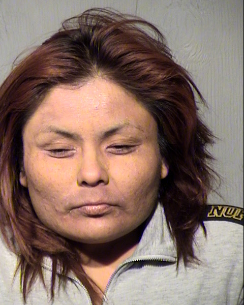 ROCHELLE LYNN CROSBY Mugshot / Maricopa County Arrests / Maricopa County Arizona