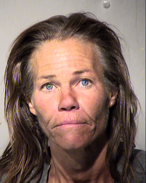 LISA MICHELLE OWSLEY Mugshot / Maricopa County Arrests / Maricopa County Arizona